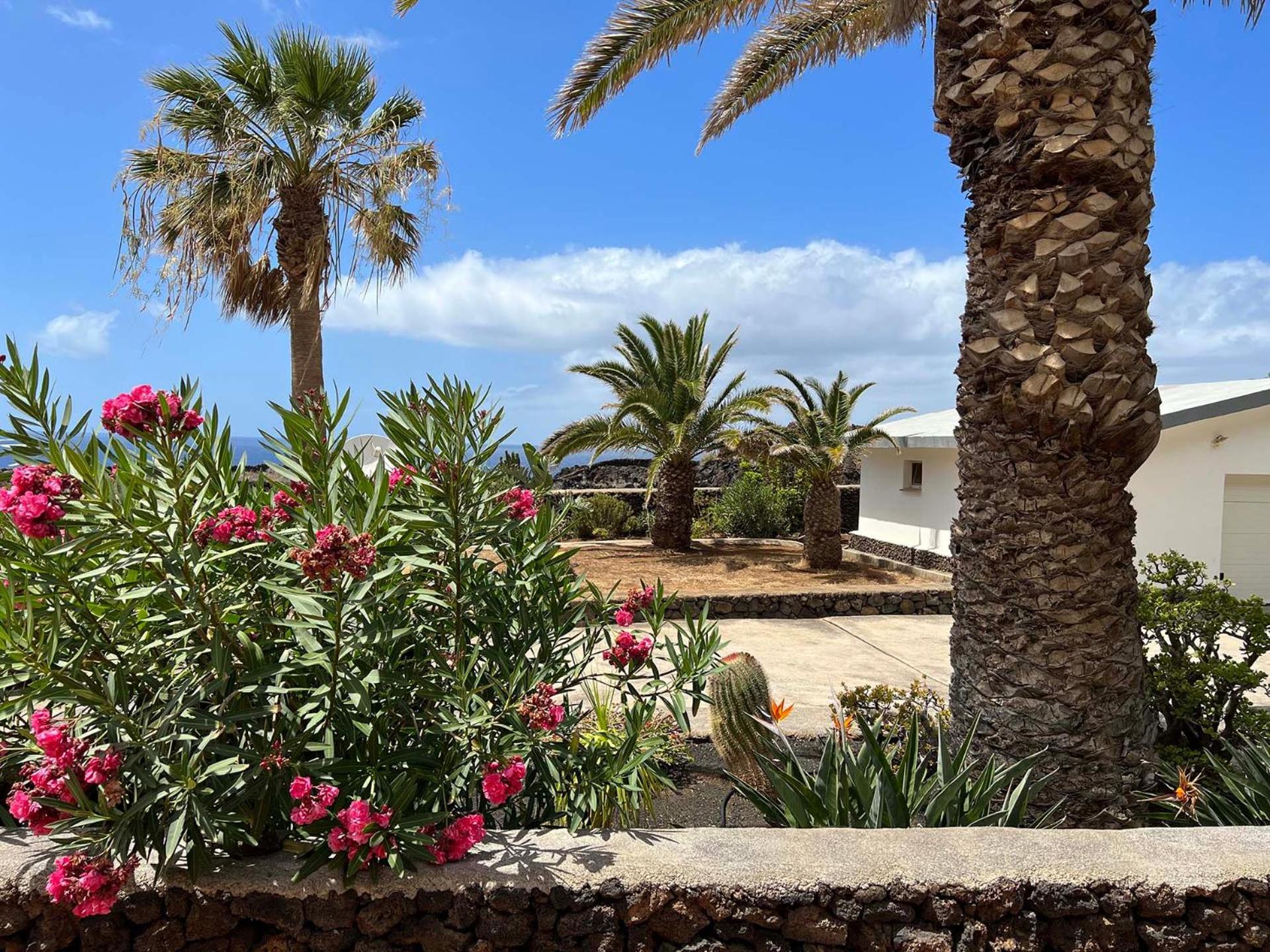 Finca Afortunada Las Puntas Szoba fotó